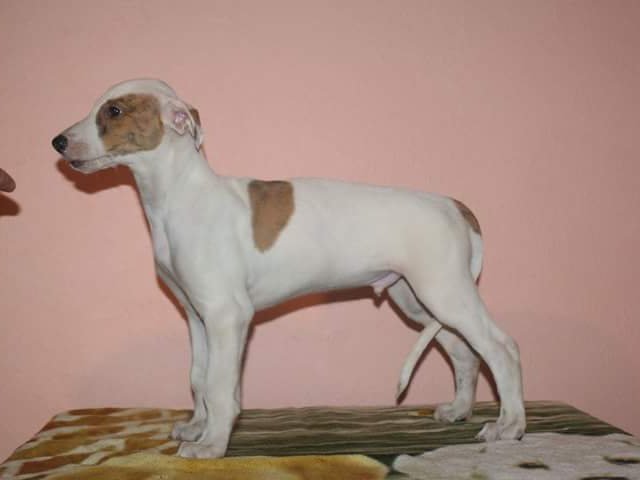 fb_img_1488201290441